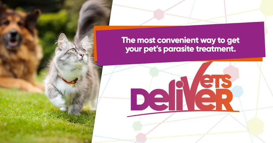 A cat and dog outdoors. WVD delivers parasite treatment from your vet to your door