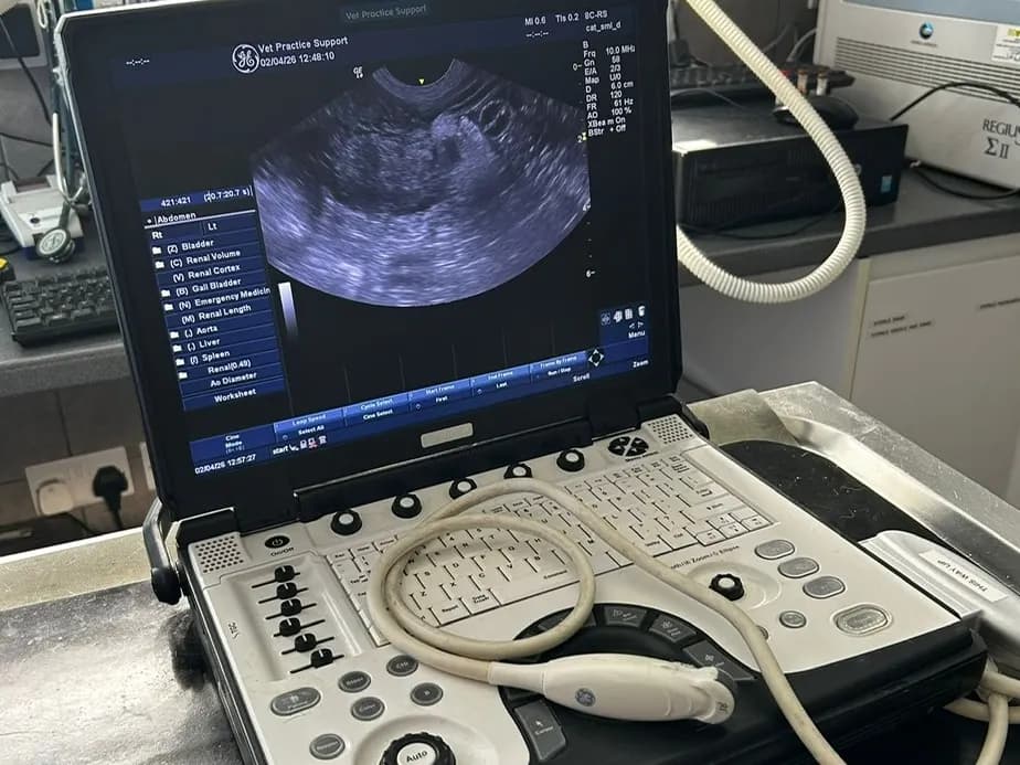 Ultrasound scanner showing a scan at Wagtails